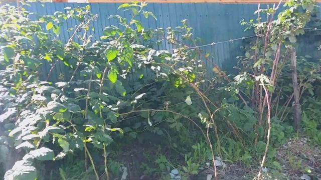 10 сентября,что у нас в продаже. смотреть онлайн