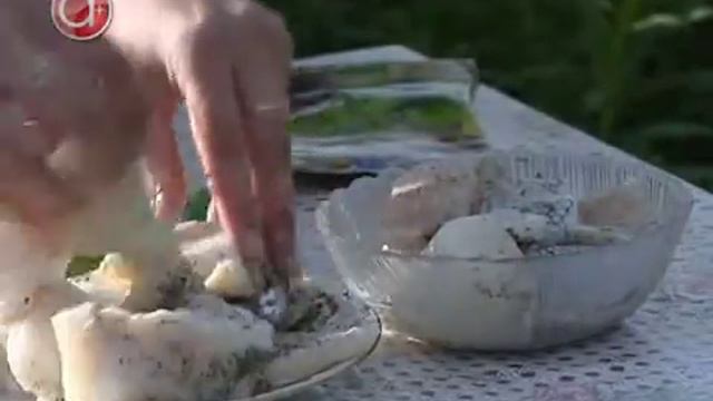 Шашлык из рыбы смотреть онлайн