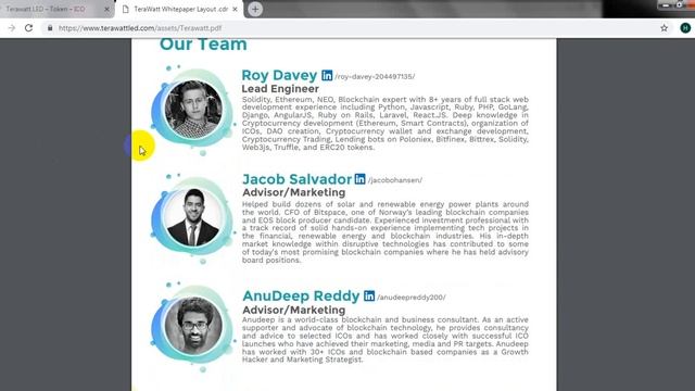 Обзор ICO TeraWATT ч.2 смотреть онлайн