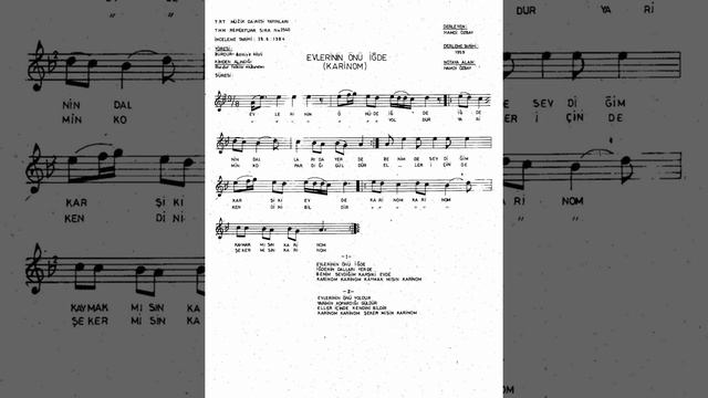 2540 Evlerinin Önü İğde