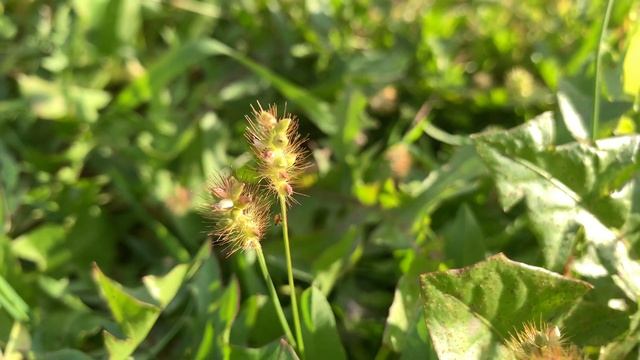 Дача 16 сентября 2021год смотреть онлайн