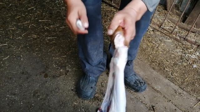 Разделка барана , Часть 1 , Костанай смотреть онлайн