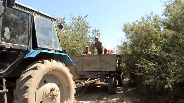 Армия сотрудников "Технодома" вышла на защиту природы смотреть онлайн