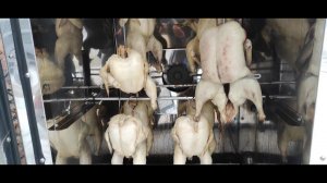 Утка и курицы горячего копчения