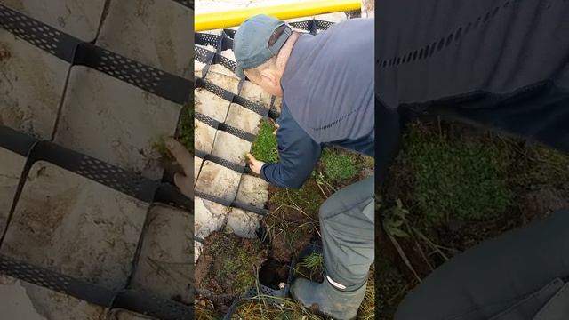 Монтаж георешетки с заполнением торфа смотреть онлайн