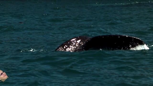 Татьяна едет на машине )))) Смешные видео. Green screen Chroma Key dans mes vidéos смотреть онлайн