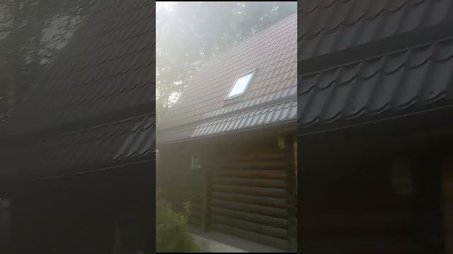 VID-20240806-WA0002 смотреть онлайн