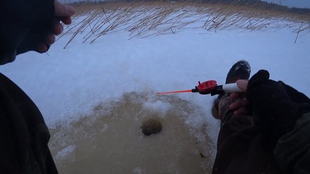 Рыбалка на Ладожском озере. Ловля окуня. Рыбалка не магазин. смотреть онлайн