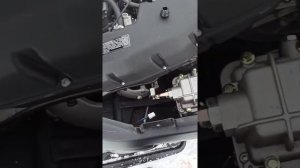 TAYGA PATRUL 800 SWT первая неисправность, замена масла в коробке.