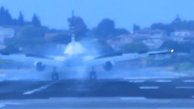 На мышином острове смотреть онлайн