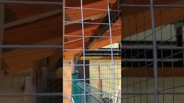 Мой дом, моя крепость смотреть онлайн