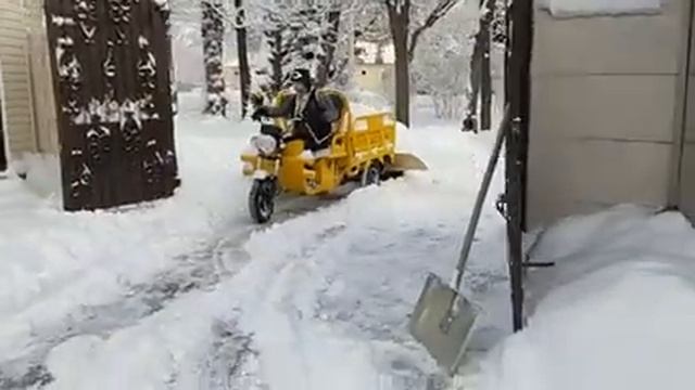 Antrike смотреть онлайн