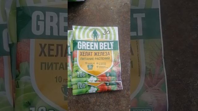 Хлороз клубники. Профилактика хлороза. Июнь 2021. #Shorts смотреть онлайн