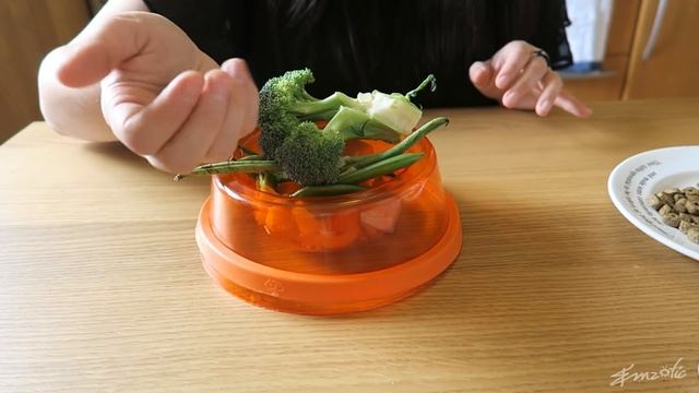 Skunk Diet | Feeding Your Pet Skunk | Pet Care смотреть онлайн