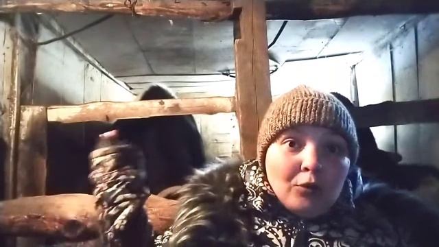 Самый лучший доильный аппарат//как выбрать доильный аппарат. смотреть онлайн