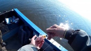 ТРОФЕЙ НА СПИННИНГ В АВГУСТЕ  РЫБАЛКА С КАМА ФИШИНГ