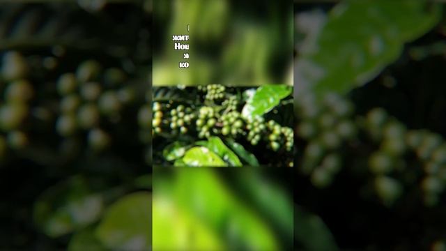 Правда или Ложь #8