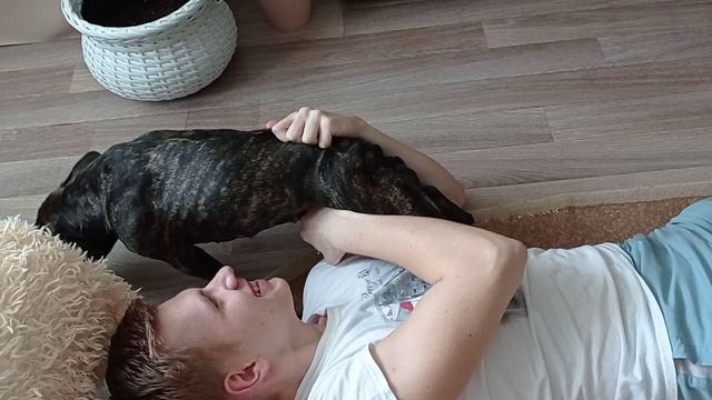 Попытка подстричь когти N .....