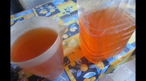 Стакан пива с водой для рассады дает потрясающий результат! Хмельная подкормка рассады!