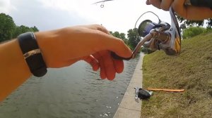 Бюджетный джиговый спиннинг? Maximus Zircon. Часть 1.