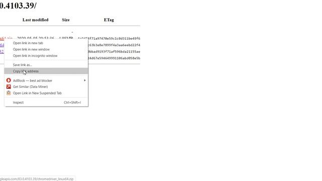 How To Install Python Selenium Chrome And Chromedriver On Unix смотреть онлайн