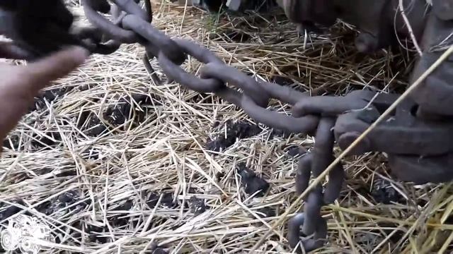 ДТ-75. Навешивание и регулировка плуга ПЛН 4.35. #СельхозТехника_ТВ №43 смотреть онлайн