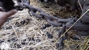 ДТ-75. Навешивание и регулировка плуга ПЛН 4.35. #СельхозТехника_ТВ №43