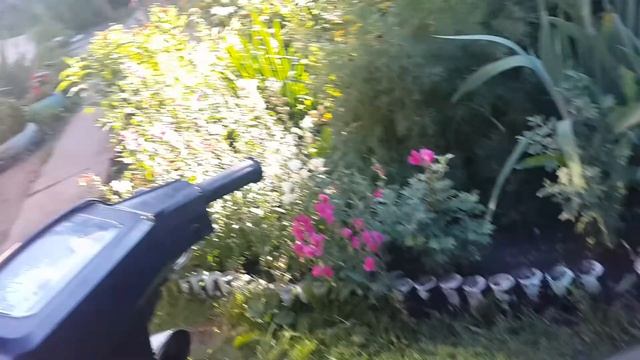 обзор на скутер сузуки сепиа смотреть онлайн