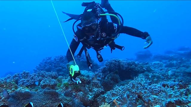 Diving in Paje, Zanzibar, Tanzania 2021 смотреть онлайн