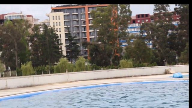 Мнеисполнилось 50 илк как я провел этот день.. Третья часть. Плавание с дельфинами смотреть онлайн