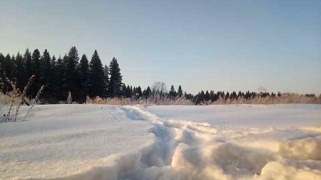 Subaru impreza смотреть онлайн