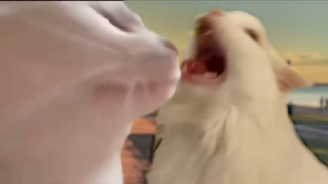 Cat MEOW but Meme Music смотреть онлайн