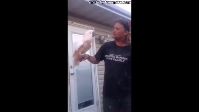 America Strong, Remove Plato Tipico смотреть онлайн