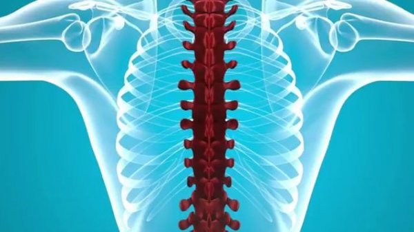 Здоровье позвоночника