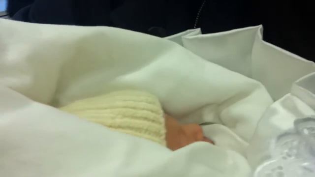 Лиза род дом смотреть онлайн
