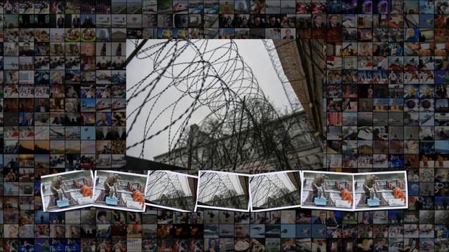 Рыбоводы в Крыму смогут до 2021 года пользоваться участками без торгов