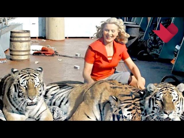 "Полосатый рейс" | Тайны кино смотреть онлайн