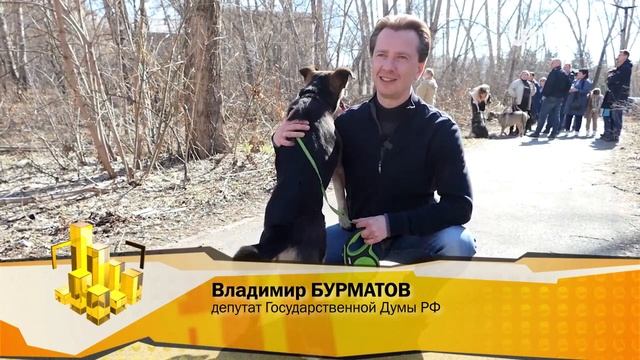 На ЧМЗ на месте парковок и заброшенных зон появится площадки для выгула собак смотреть онлайн