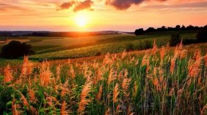 "Мчится дальняя дорога" (Солнышко лучисто, небеса так чисты). Монтаж Расходчиковой Ульяны.