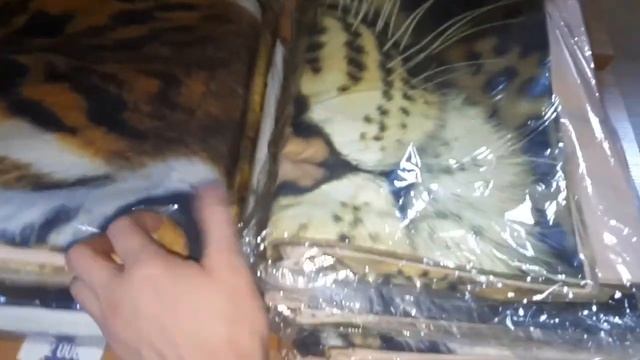 ЦУМ в Ташкенте/Прогулка по ЦУМУ/Текстиль для дома/Обзор товаров/Узбекистан,Ташкент. смотреть онлайн