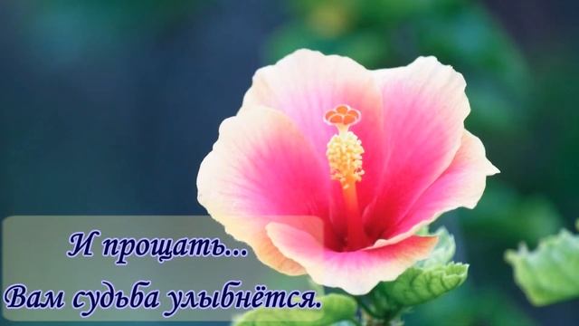 Из чего состоит счастье?What does happiness consist of? смотреть онлайн