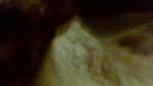 СЕВЕРНЫЕ ОЛЕНИ смотреть онлайн