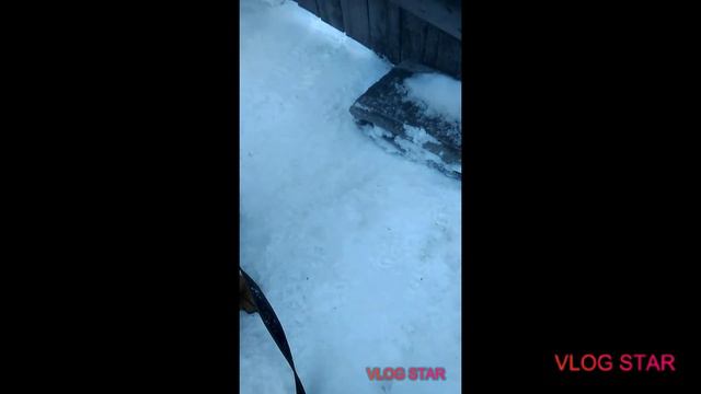Самый лёгкий способ научить собаку команде "дай лапу". смотреть онлайн