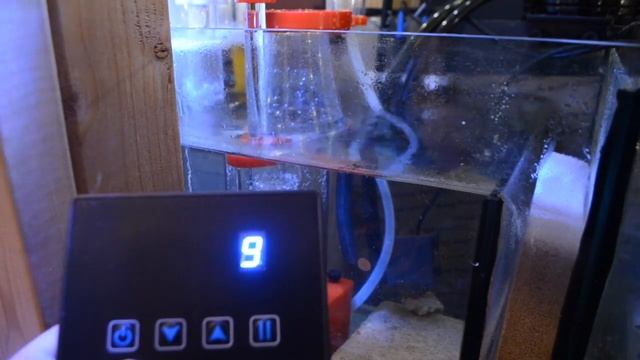 Your Choice Aquatics Protein Skimmer