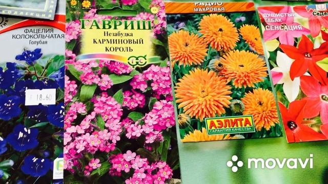 НЕПРЕМЕННО ПОСЕЙТЕ ЭТИ ЦВЕТЫ! СЕЗОН 2022 - СТАНЕТ ЛУЧШИМ!#семенамноголетников#красивыецветы#урал смотреть онлайн