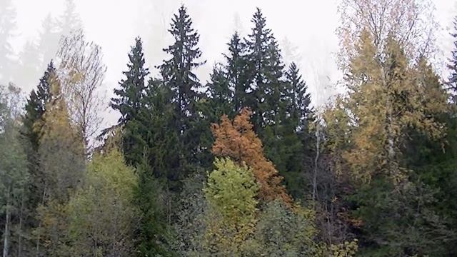 Осень девчонка рыжая смотреть онлайн
