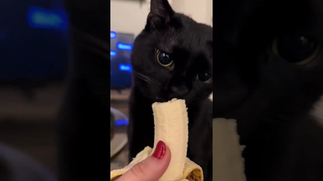 Ооо банановое)