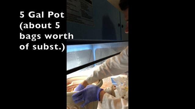 Making outdoor mushroom patch with spent mushroom blocks (King Oyster mushrooms spent substrate) смотреть онлайн