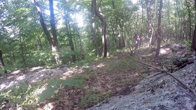 Gravel Bike On Mountain Bike Trails - Jamis Renegade E29:S2