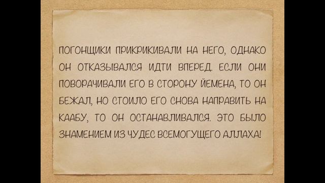 105 СУРА АЛЬ-ФИЛЬ. Священный Коран. Изучаем аяты и суры Корана смотреть онлайн